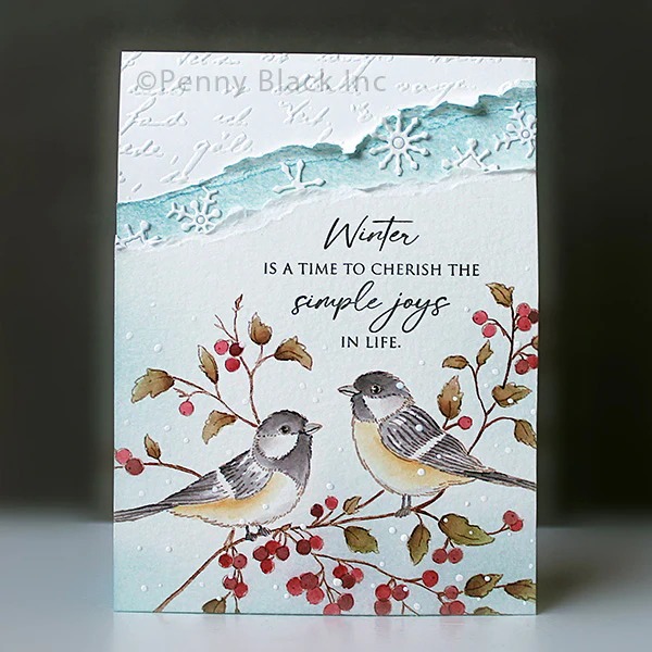 Timbri in silicone trasparente - Clear Silicone Stamps For Card Making recensione e prezzo